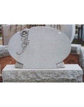 The rose surrounded The rose surrounded