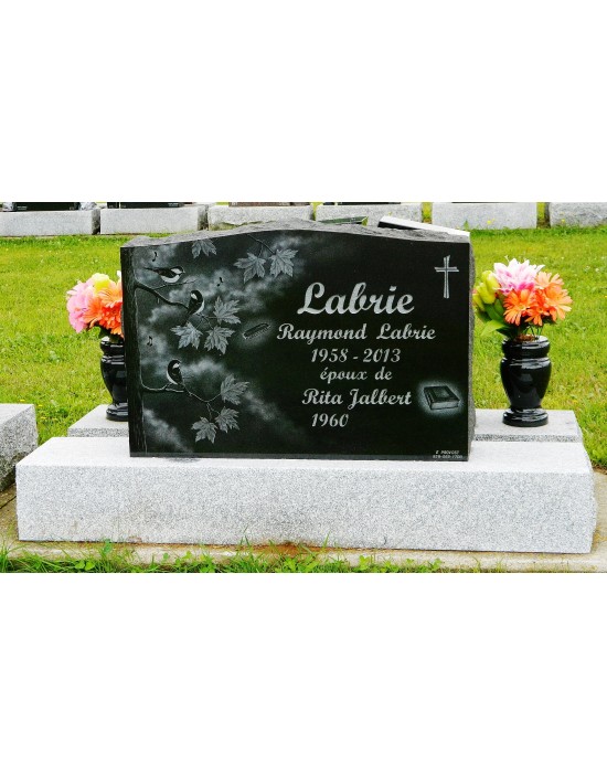 In the song of the swallows