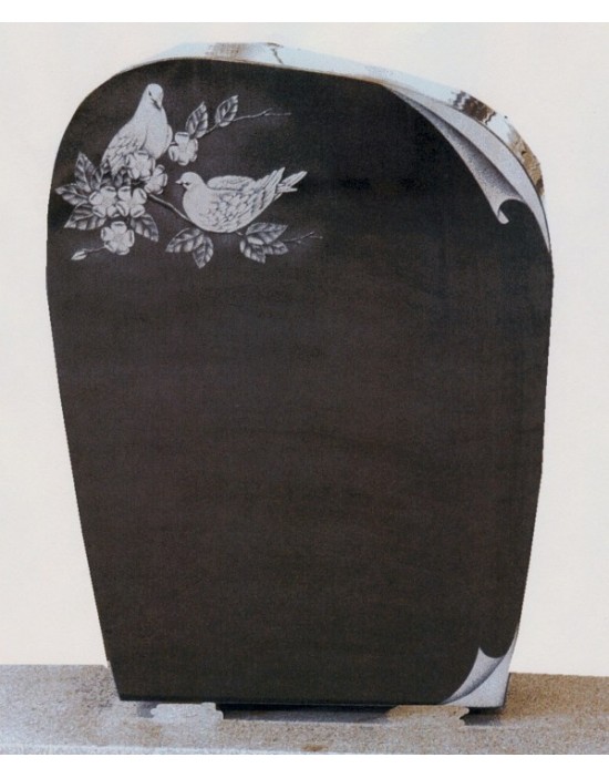 The duo dove The duo dove