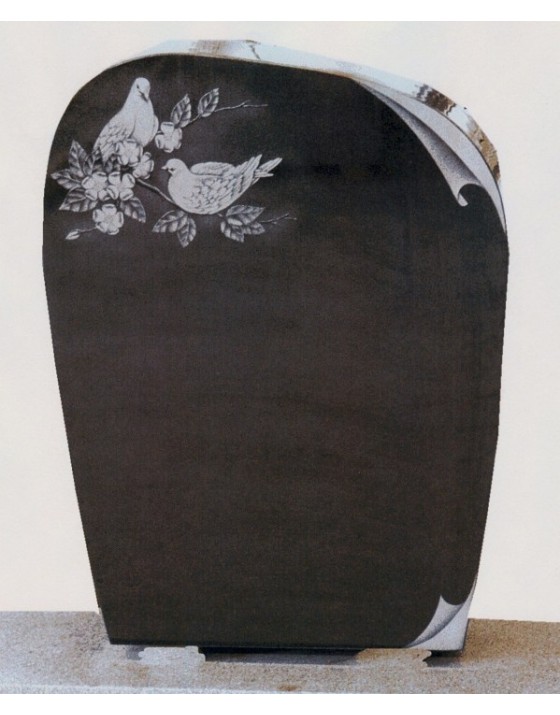 The duo dove The duo dove