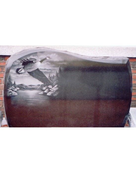 In the heart of the forest In the heart of the forest