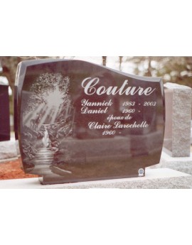 The deer on the brink of the fall The deer on the brink of the fall