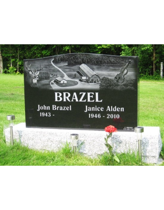 A farm in the meadows