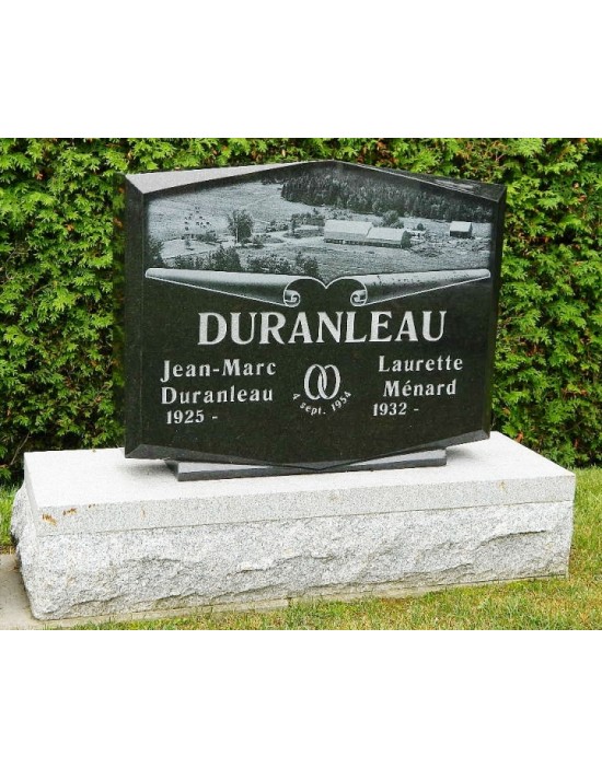 The farm and its habitat