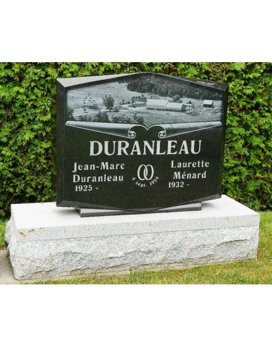 The farm and its habitat