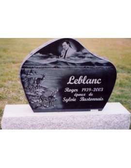 The deer family The deer family