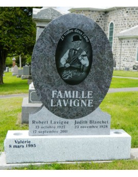 The violin in the soul