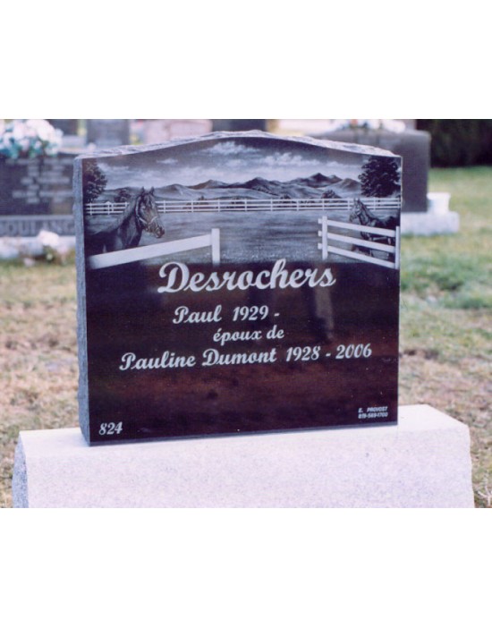 The equestrian The equestrian