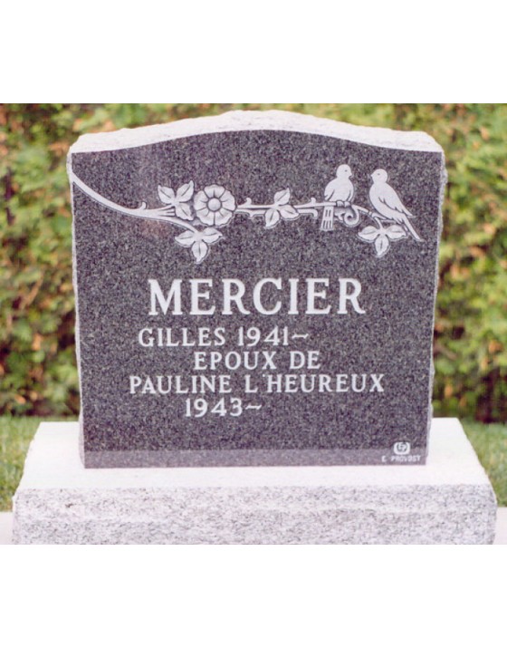 The finches The finches