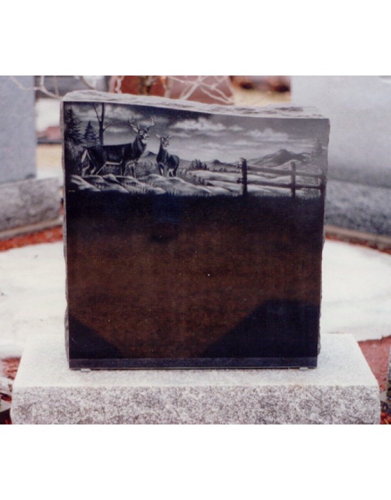 In the pasture In the pasture