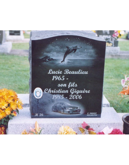 The special one The special one