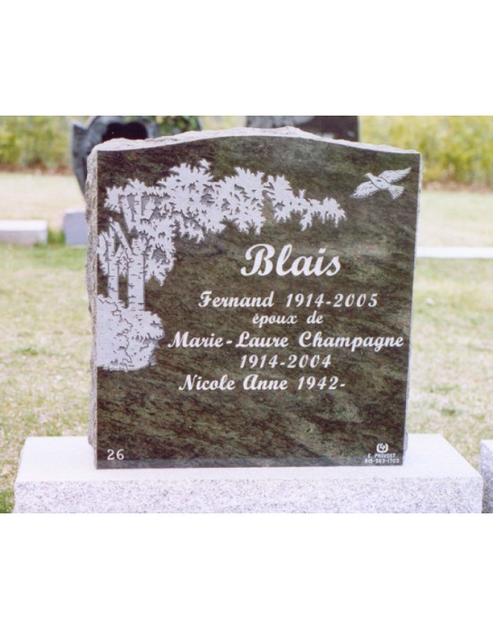 Olive Tree Olive Tree